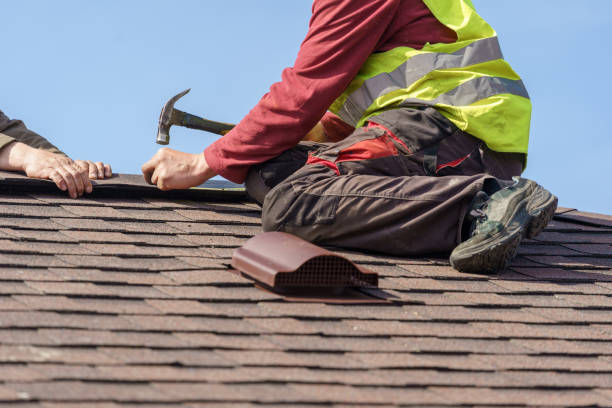 Best Roof Gutter Cleaning  in Hoer, OK
