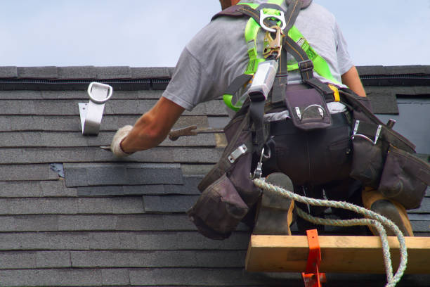 Best Roof Maintenance Services  in Hoer, OK