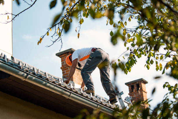Best Residential Roof Replacement  in Hoer, OK