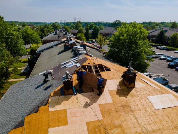Best Roof Gutter Cleaning  in Hoer, OK