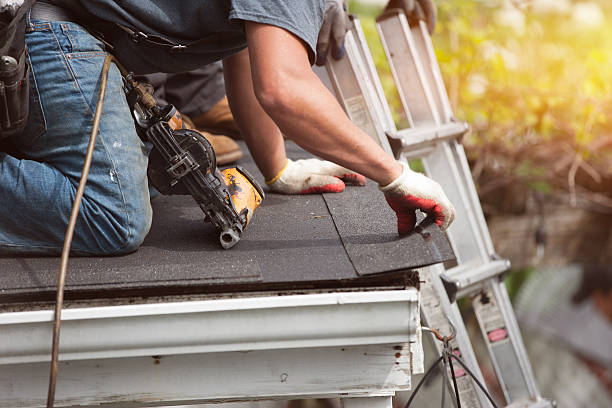 Best Roof Waterproofing Services  in Hoer, OK
