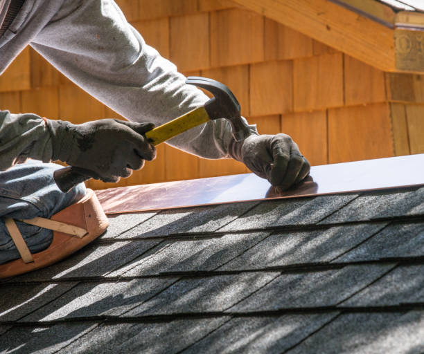 Best Roof Gutter Cleaning  in Hoer, OK